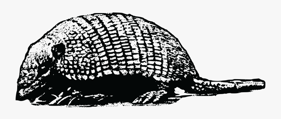 Transparent Worm Clipart Black And White - Clip Art, Transparent Clipart