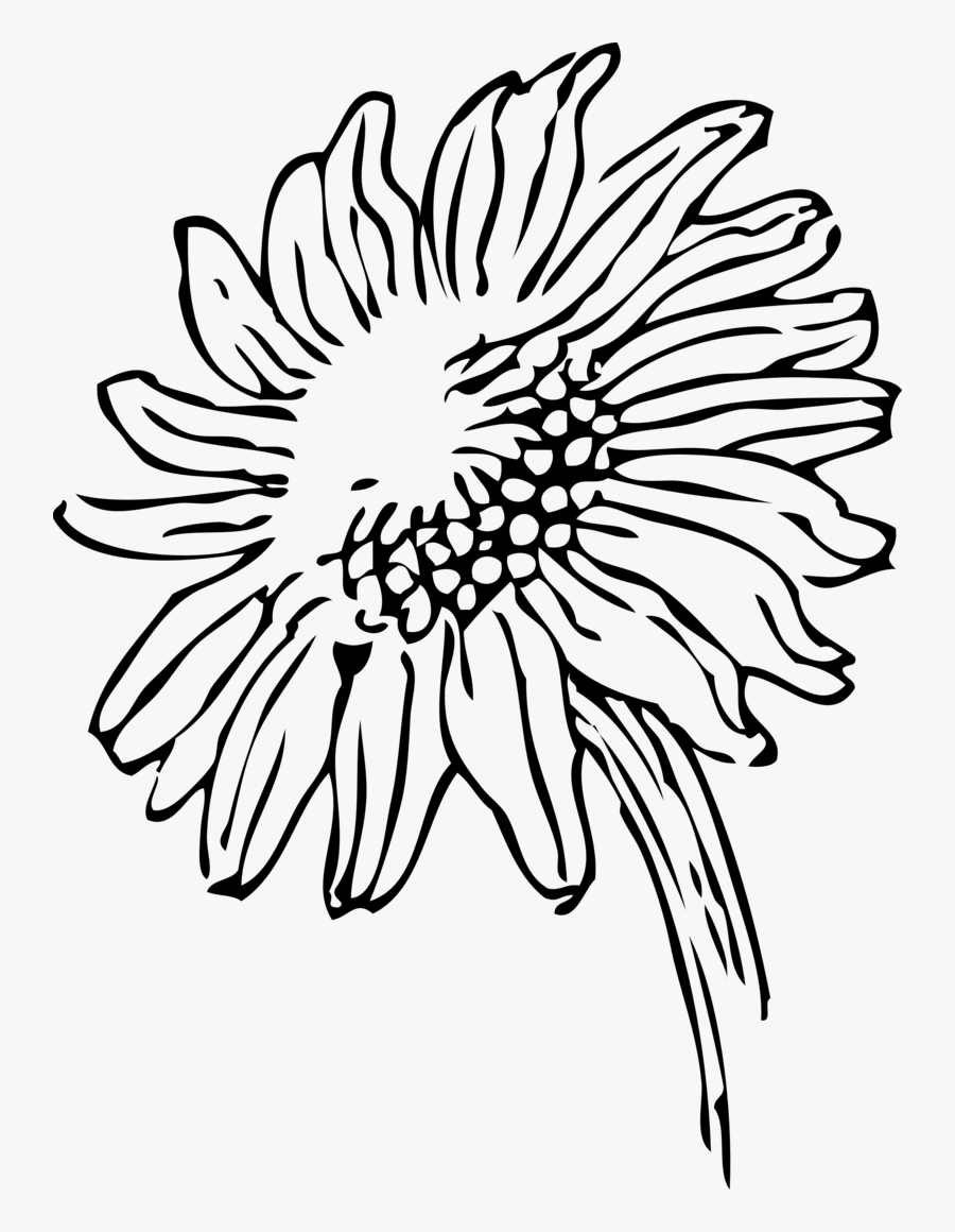 Drawing Line Art Download Computer Icons - Sunflowers Clip Art Black And White, Transparent Clipart