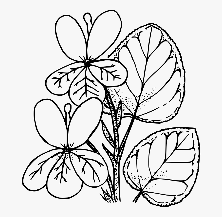 Transparent Rake Clipart Black And White - Violet Clipart Black And White, Transparent Clipart