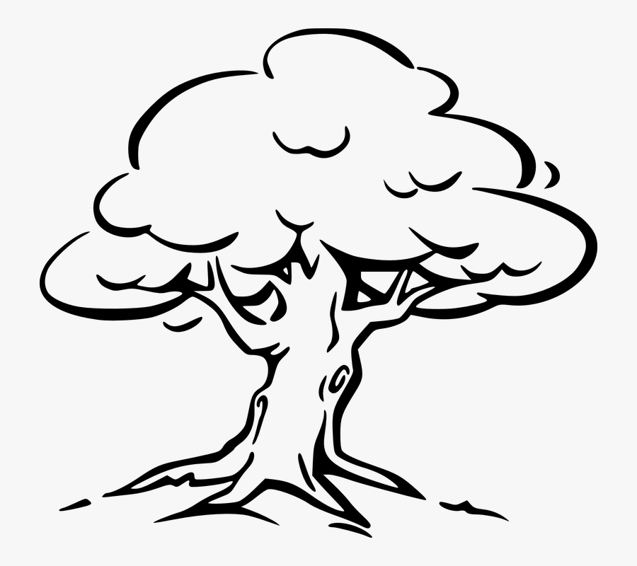 Pildiotsingu Eesti S - Tree Black & White, Transparent Clipart