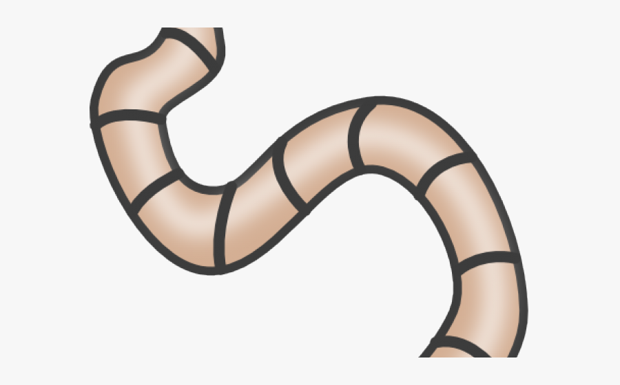 Transparent Background Worm Clipart, Transparent Clipart