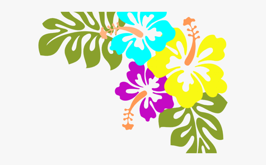Library Clipart Borders - Hibiscus Clip Art, Transparent Clipart
