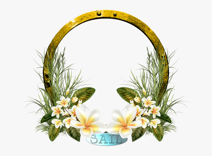 Frames, Frame, Picture Frames - Picture Frame, Transparent Clipart