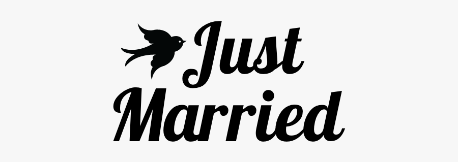 Car Decal Signitup Com - Calligraphy, Transparent Clipart