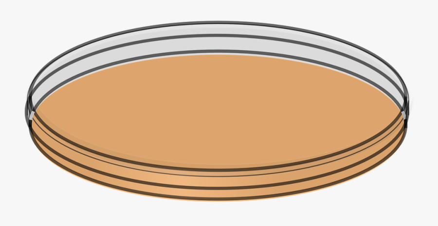 Transparent Dirty Dishes Clipart - Boite De Petri Png, Transparent Clipart