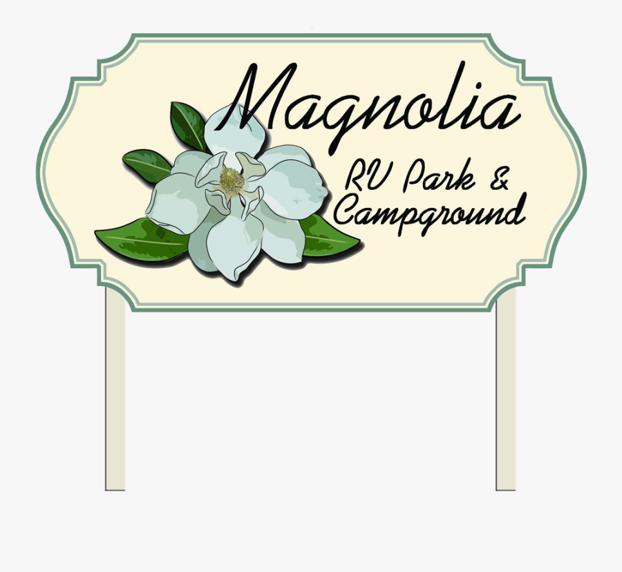 Magnolia Vector Art, Transparent Clipart