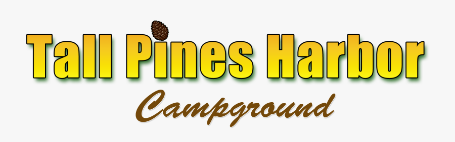 Conifer Cone, Transparent Clipart