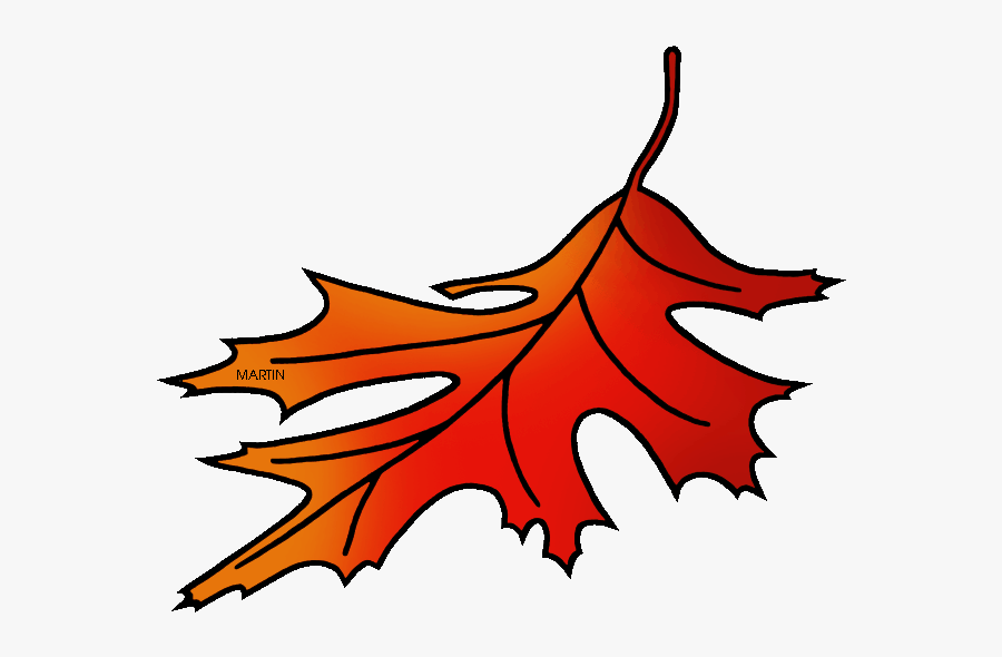 New Jersey State Tree - Red Oak Leaves Clip Art, Transparent Clipart