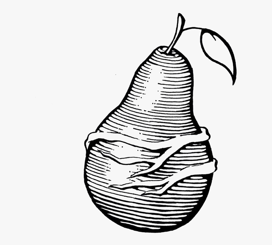 Collection Of Free Pear Drawing Tonal Download On Ui - Illustration, Transparent Clipart