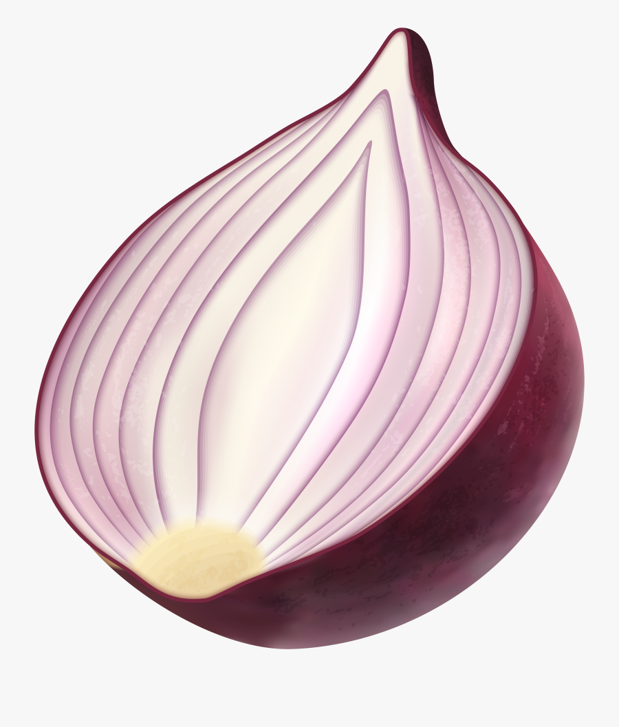 Png Clip Art Image - Red Onion Clip Art, Transparent Clipart