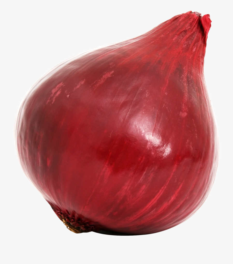 Red Onion,shallot,amaryllis Family - Onionvegetable, Transparent Clipart