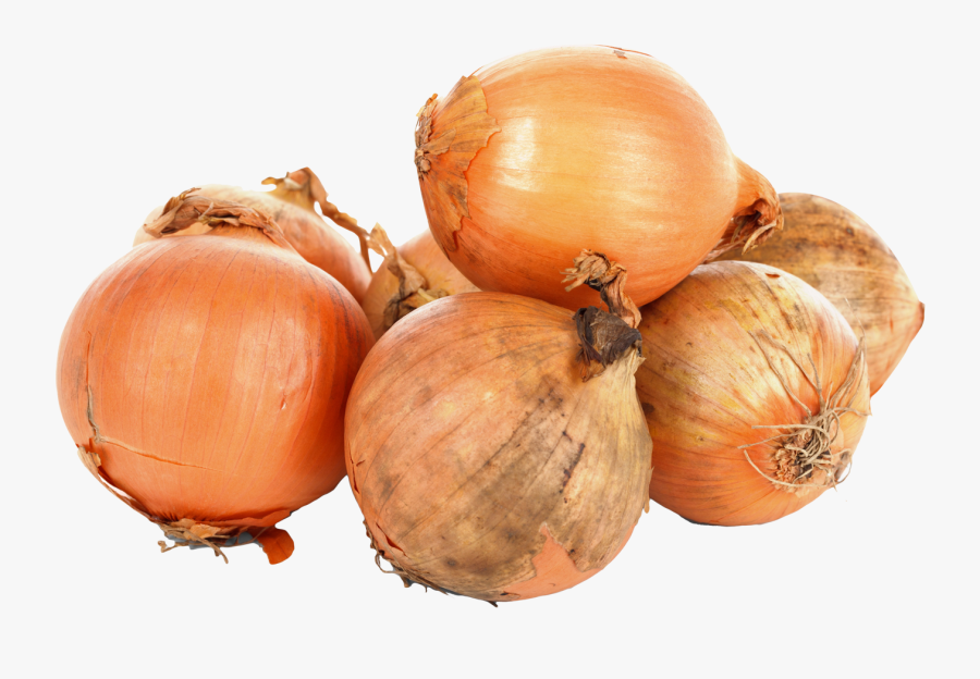 Onions Png Image - Onions No Background, Transparent Clipart