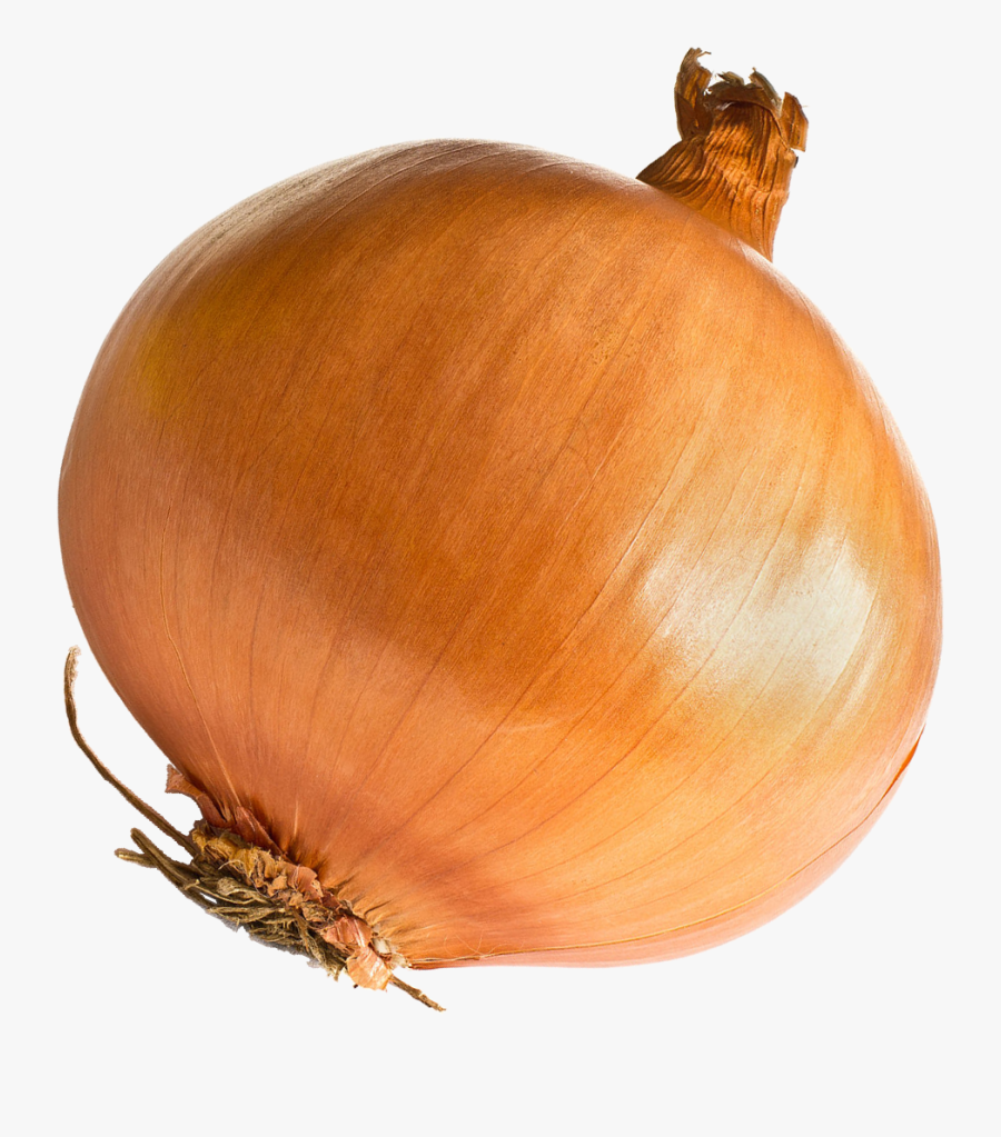 Onion Onion Png , Free Transparent Clipart ClipartKey