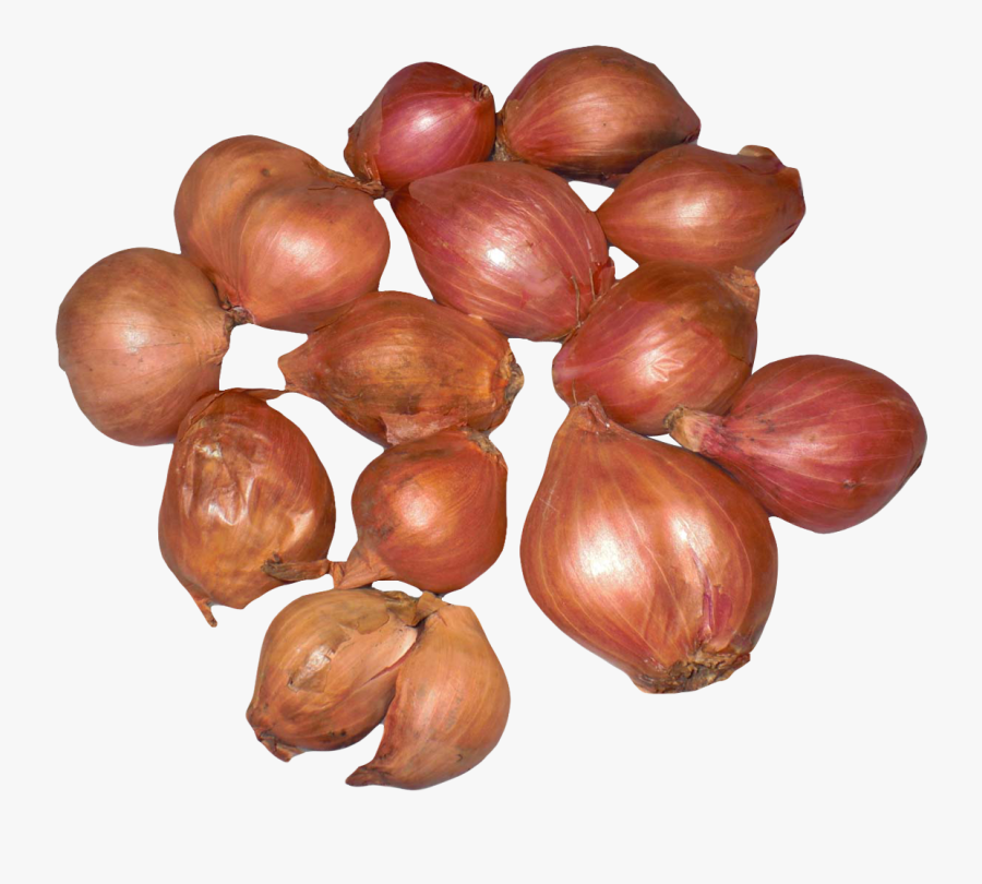 Onion-shallots - Onion, Transparent Clipart