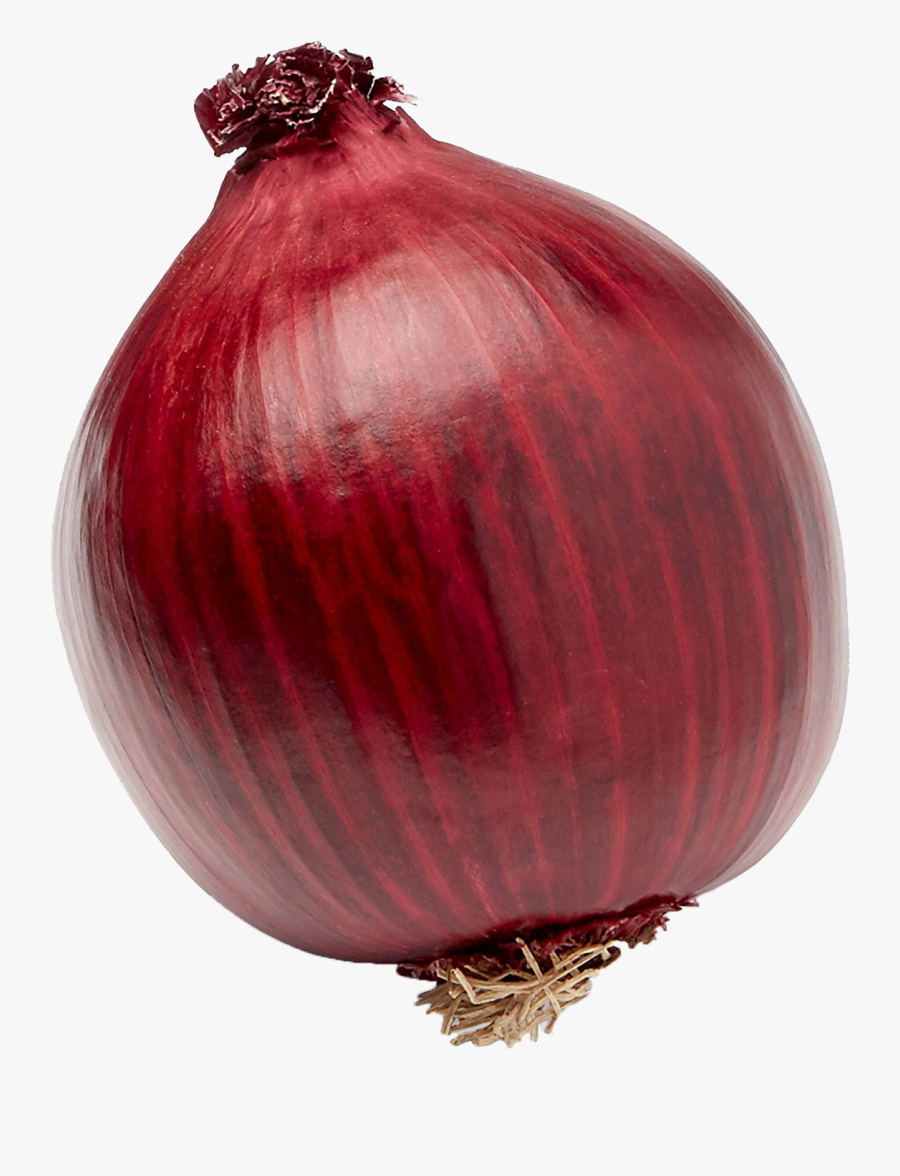 Onion Png Images - Onion Png, Transparent Clipart