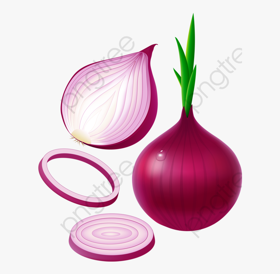 Purple Onion - Onion Clipart, Transparent Clipart