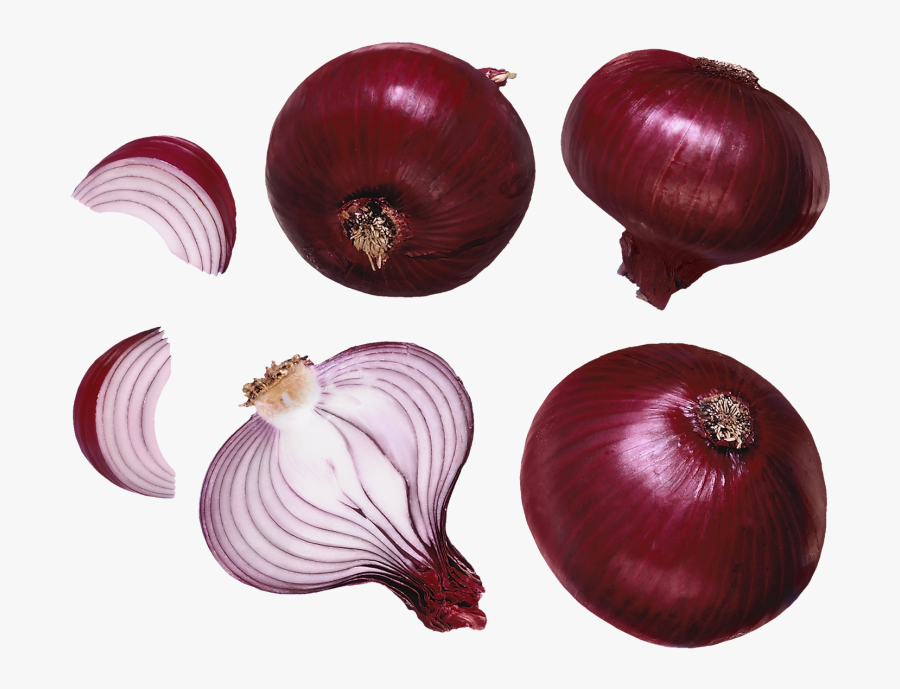Transparent Onion Png - Sliced Onion, Transparent Clipart