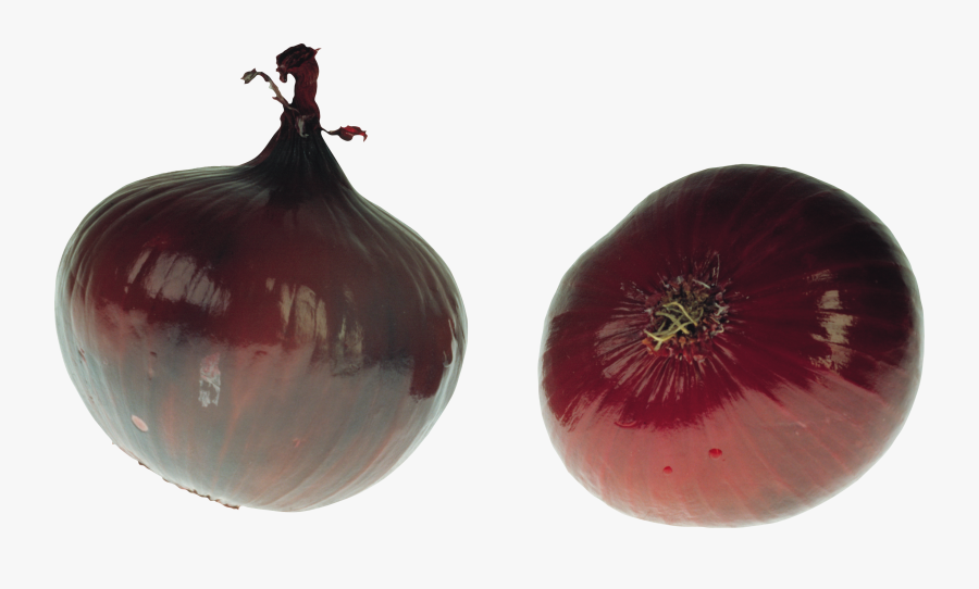 Onion Png Image - Onion, Transparent Clipart