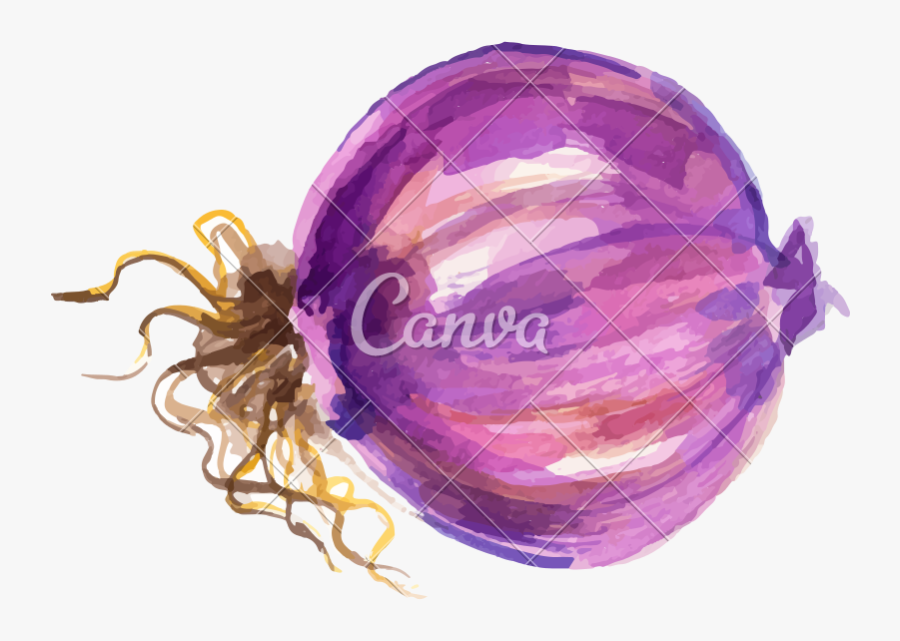 Watercolor Onion Design - Red Onion, Transparent Clipart