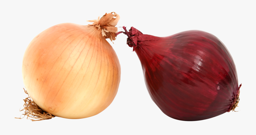Fresh Onions Png Image - Red And Yellow Onions, Transparent Clipart