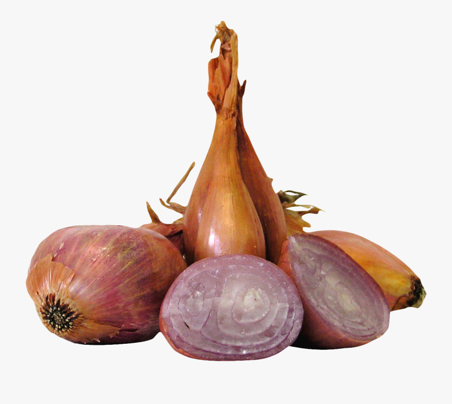 Onions Clipart, Transparent Clipart