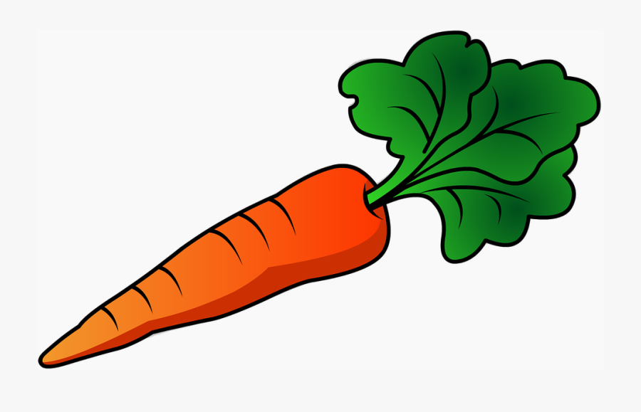 Carrot Vegetable Cultivate Free Picture - Transparent Background Carrot Clipart, Transparent Clipart