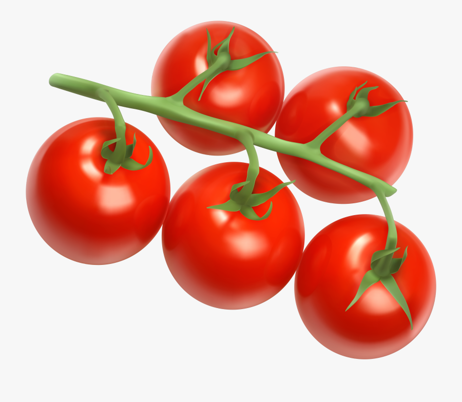 Png Vector Image Gallery - Cherry Tomatoes Transparent Background, Transparent Clipart