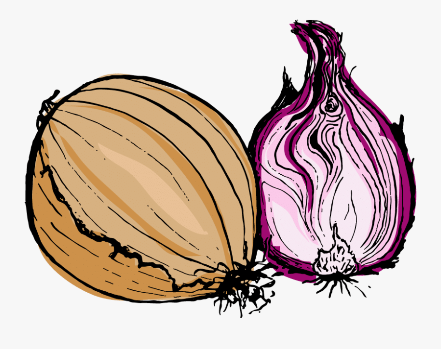 Red Onion, Transparent Clipart