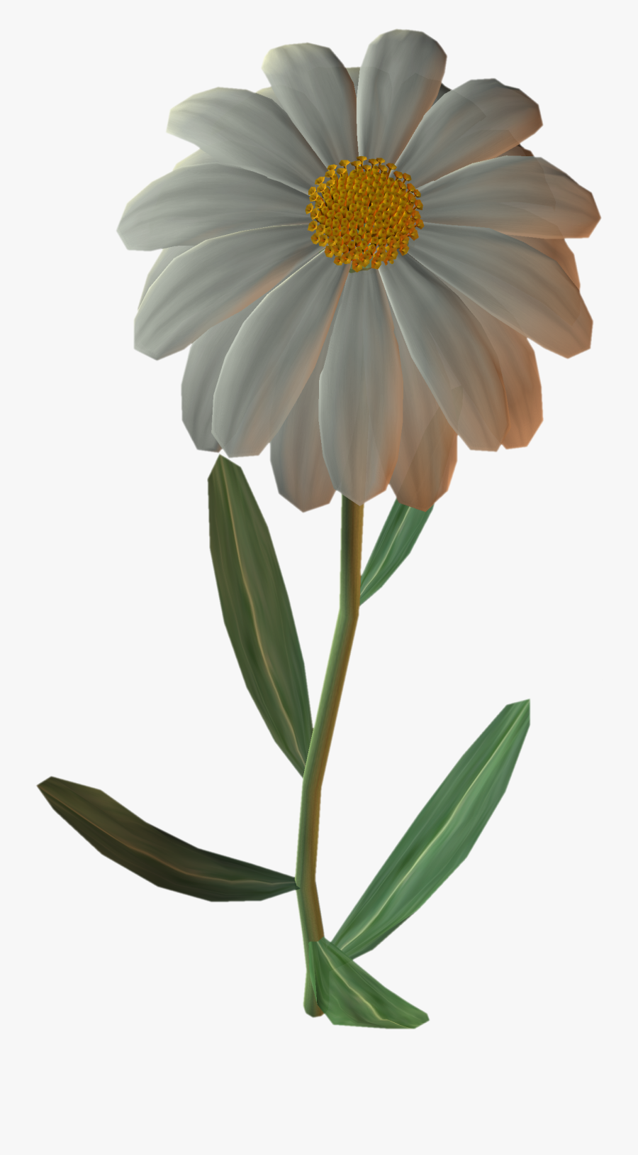 German Common Clip Art - Oxeye Daisy, Transparent Clipart
