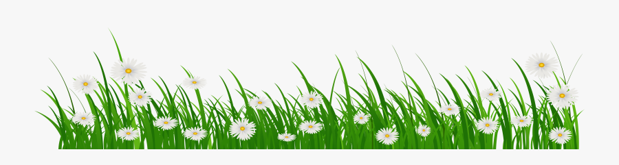 Flower Cliparts Png Grass - Grass And Flowers Png, Transparent Clipart