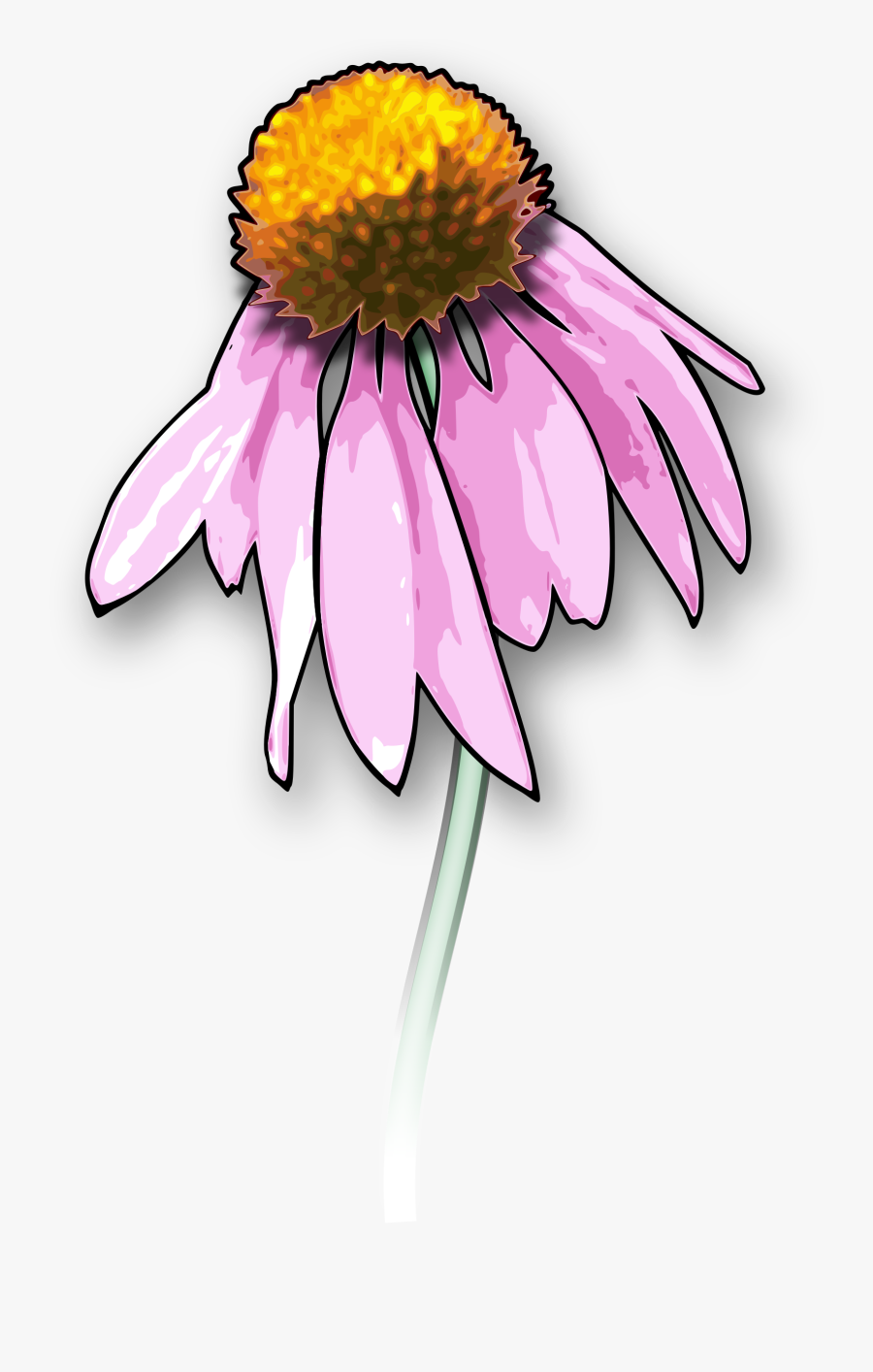 Collection Of Free Daisy Drawing Dead Flower Download - Dead Flower Clipart, Transparent Clipart