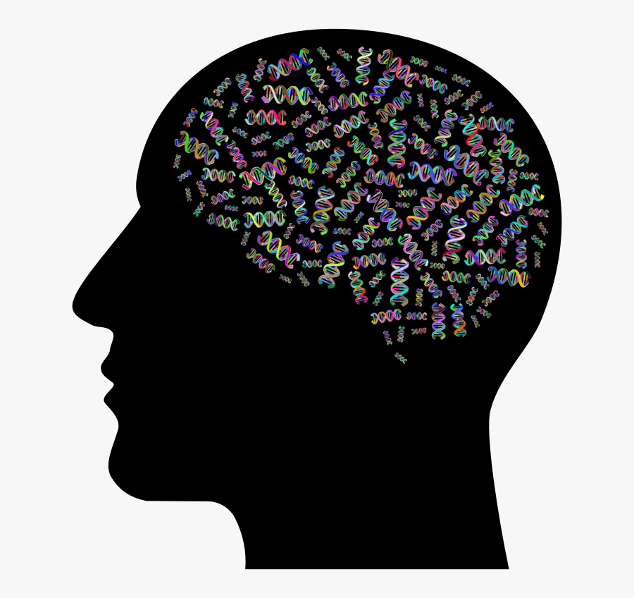 Clipart Human Brain, Transparent Clipart