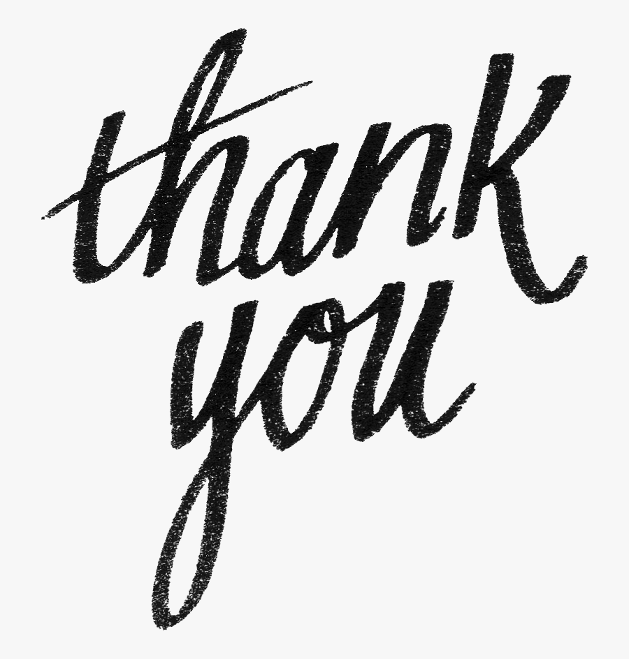 Logo Font Brand Line Animal - Calligraphy, Transparent Clipart