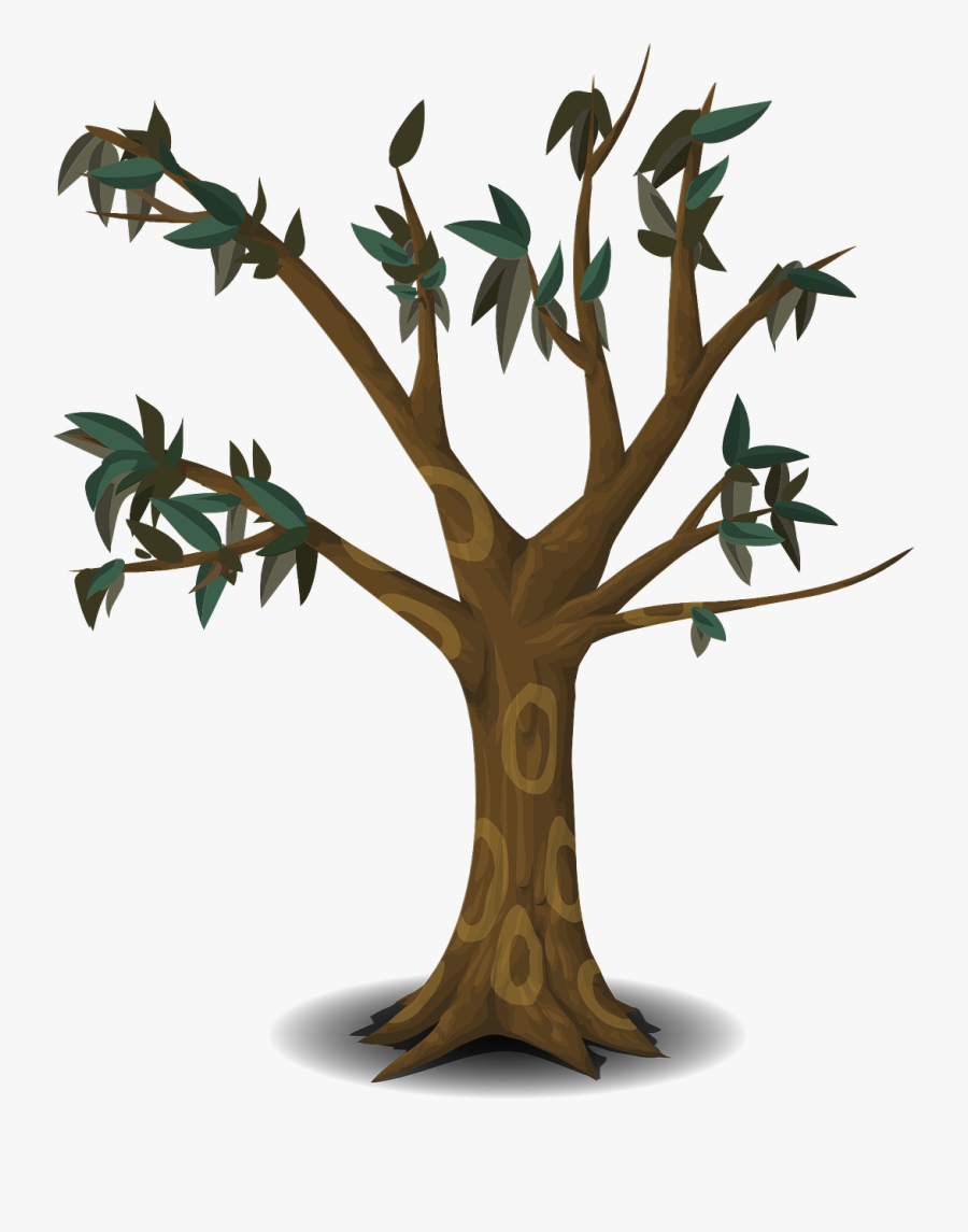 Cartoon Tree Branches Png Free Transparent Clipart Clipartkey