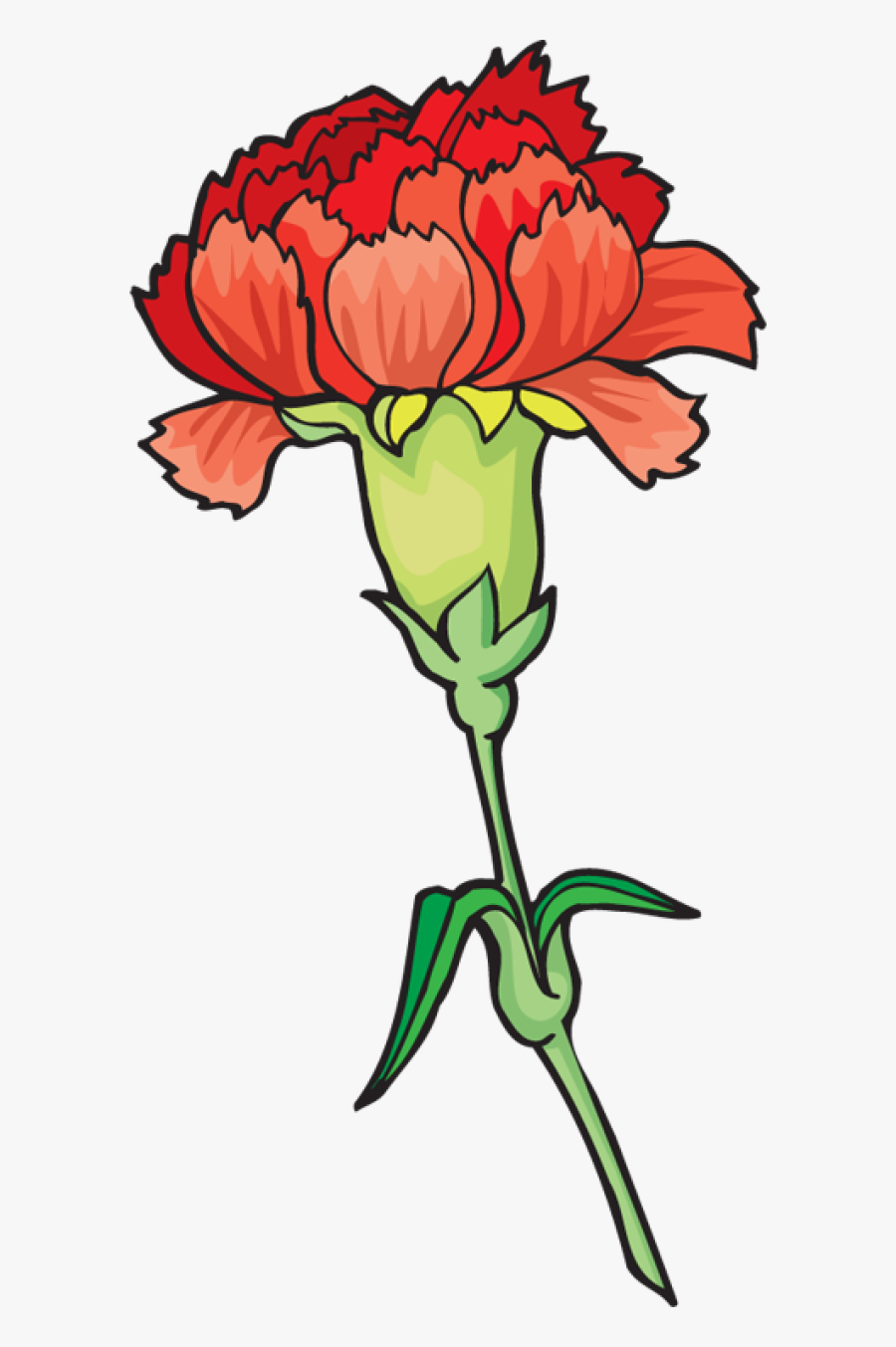 Carnation Clipart, Transparent Clipart