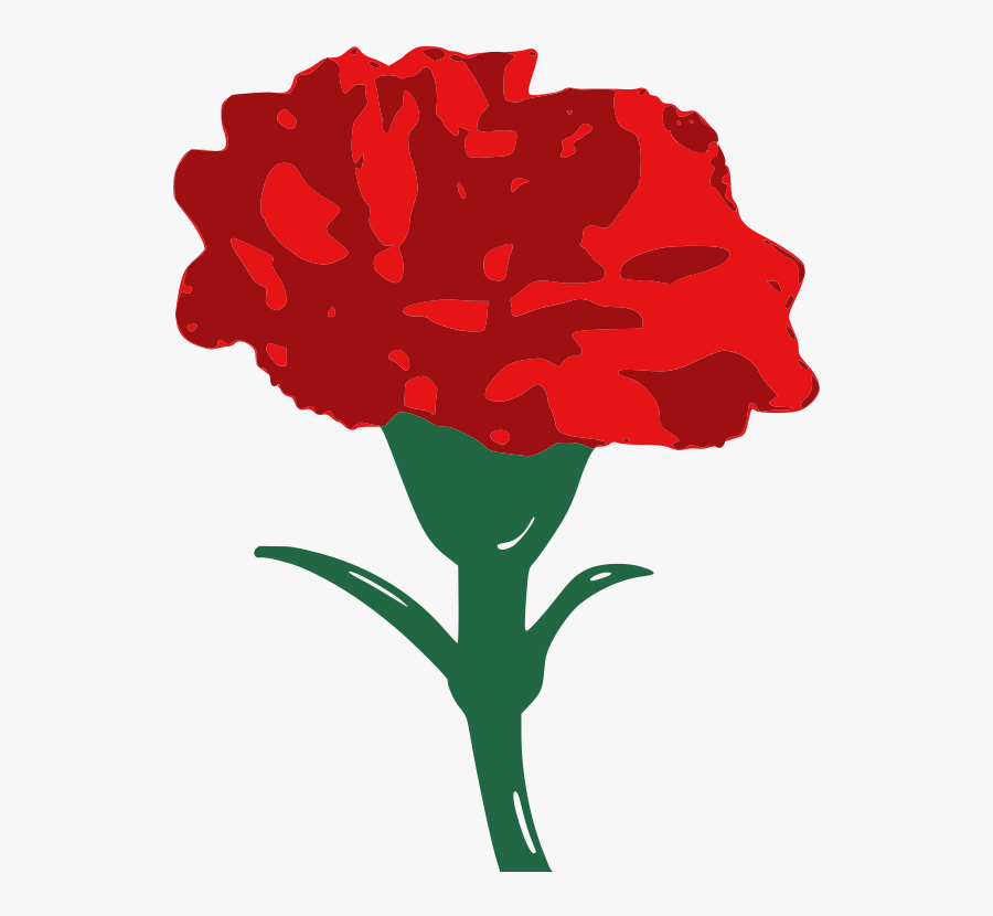 Carnation - Clip Art Red Carnation, Transparent Clipart