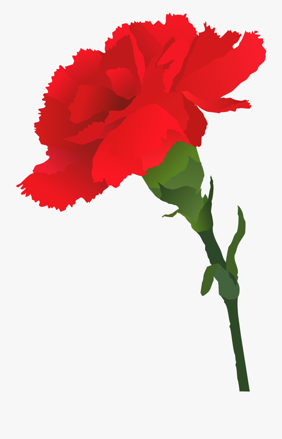 Transparent Carnations Clipart - Carnation Silhouette, Transparent Clipart