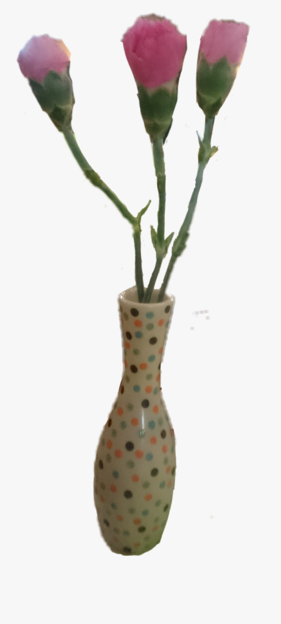 Polka Dot, Transparent Clipart