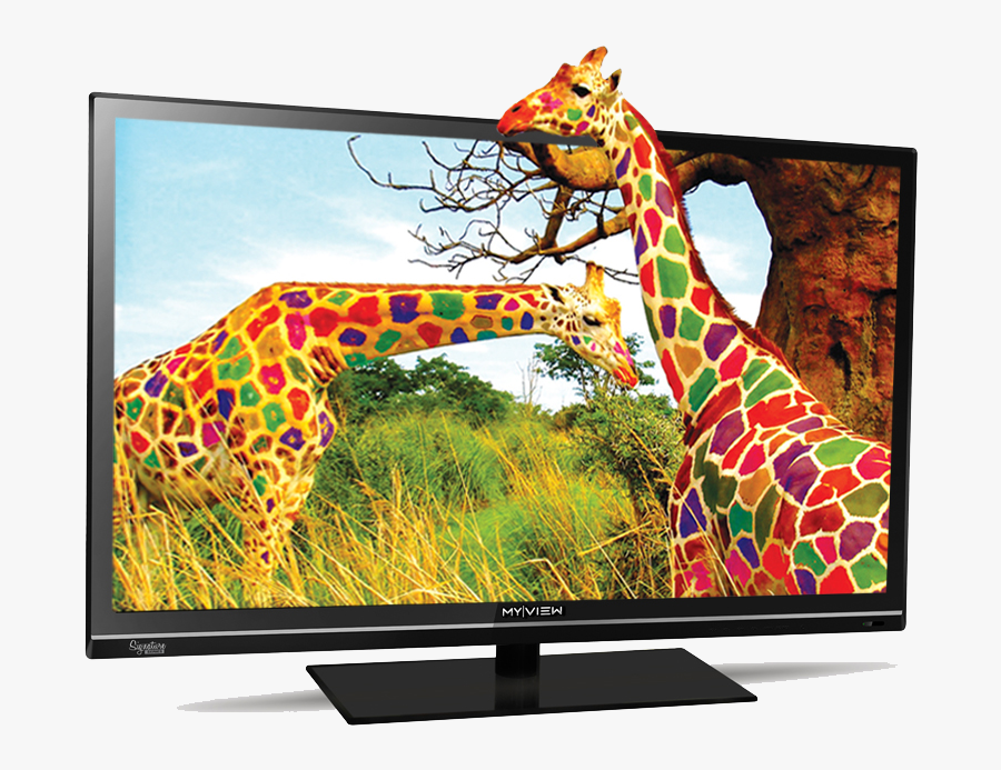 Smart Tv Png - Different Colors Of Giraffes, Transparent Clipart