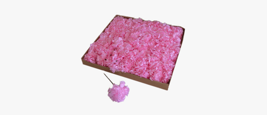 Get A Box Of Pink Carnations To Insert Into Your Media - Hydrangea, Transparent Clipart