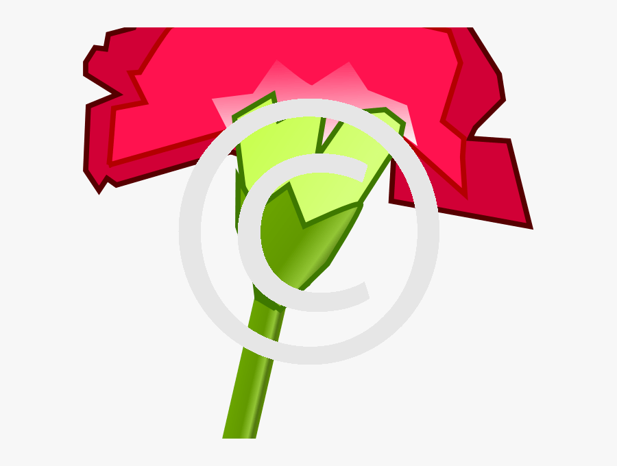 Cartoon Carnation, Transparent Clipart