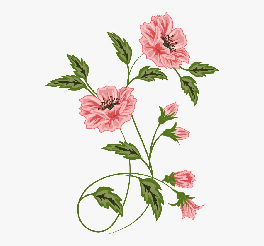 Picture Freeuse Flowers Dekopaj Pinterest Flower - Flora Flower Images Png, Transparent Clipart