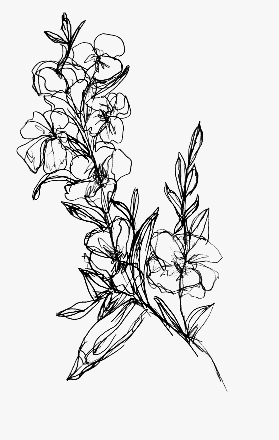 Branch I Redd It - Simple Flower Branch Drawing, Transparent Clipart