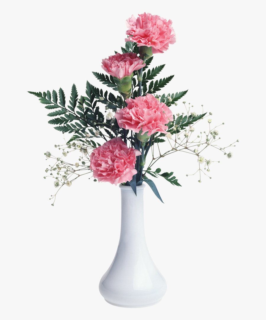 Photoshop Background Free Download, Transparent Clipart