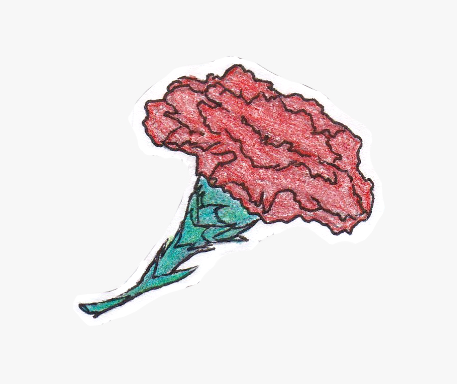 Transparent Red Carnation Png - Illustration, Transparent Clipart