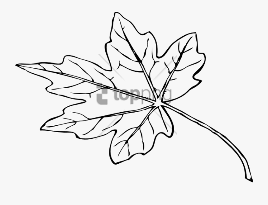 September Clipart Papaya Leaf - Papaya Leaf Black And White, Transparent Clipart