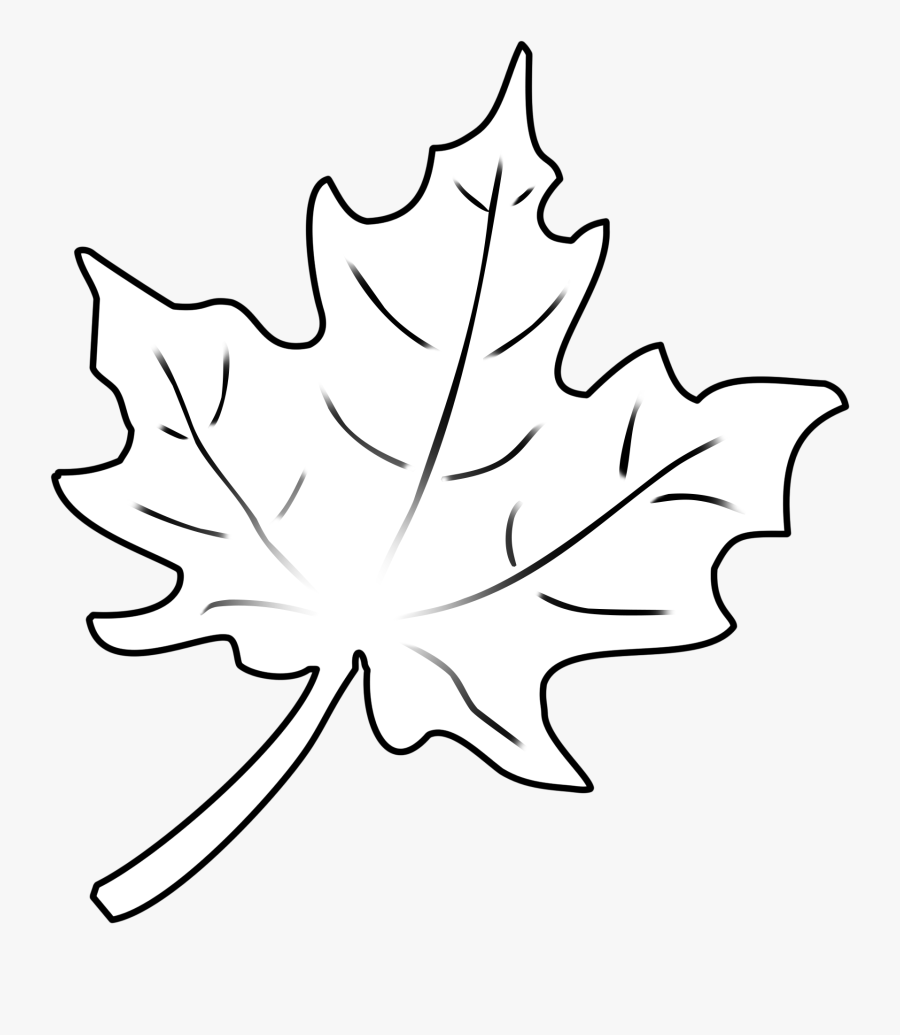 Clip Art Herbstblaetter Vorlagen Drawing Pinterest - Sketch Drawing Maple Leaf, Transparent Clipart