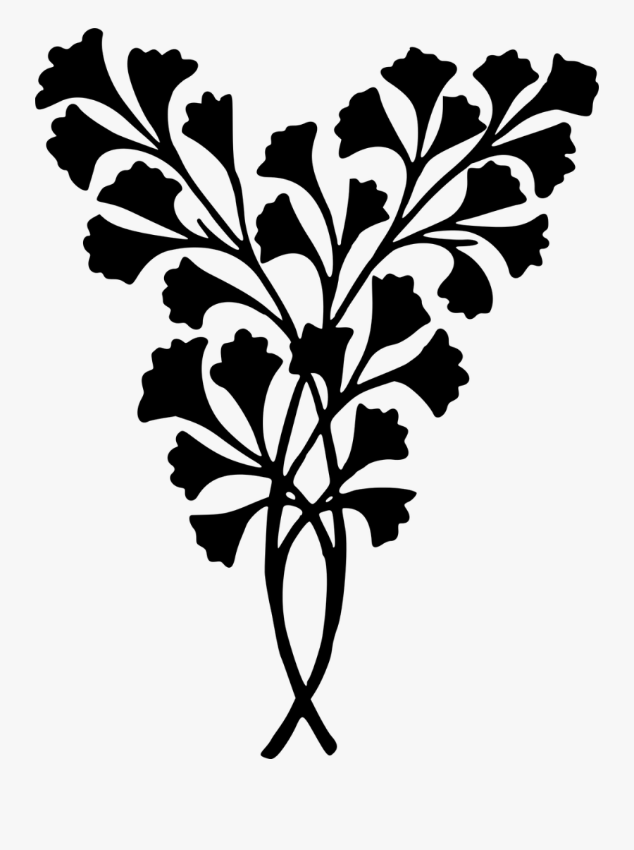 Visual Arts,plant,flora - Dekoratif Desain, Transparent Clipart