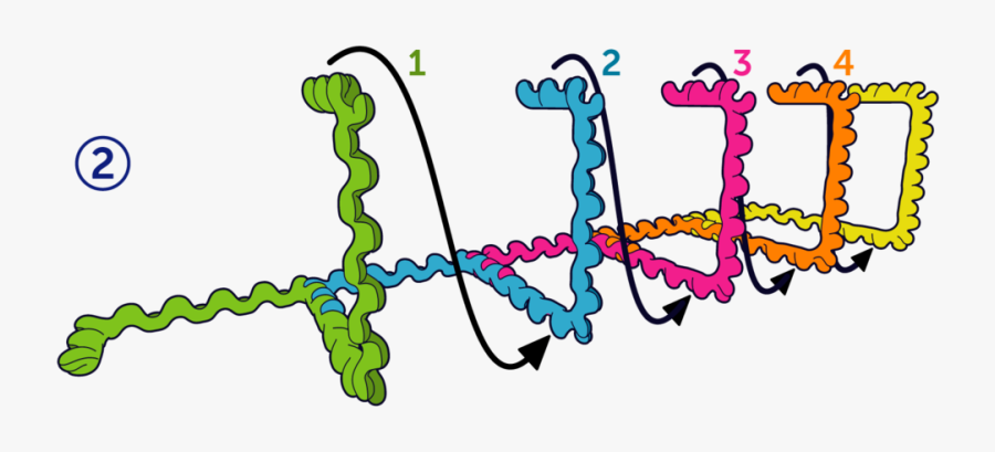 Construction Clipart , Png Download, Transparent Clipart