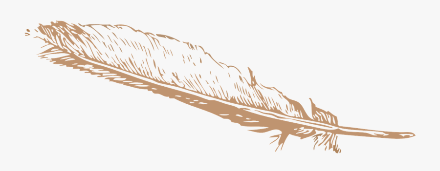 Free Image On Pixabay - Feather Clip Art, Transparent Clipart